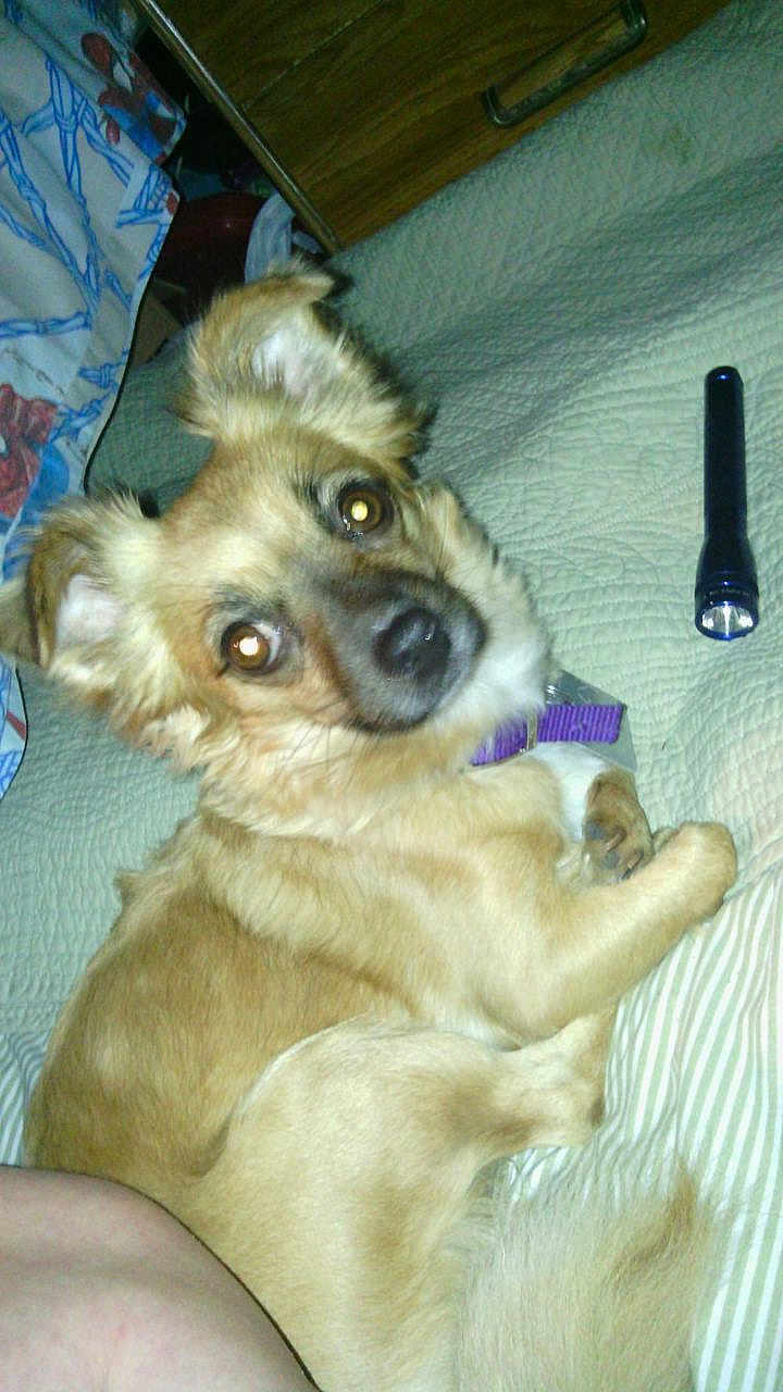 Roxy