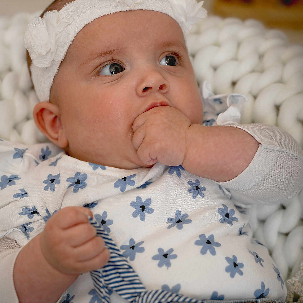 Lila participe au concours pour gagner de l'argent avec cette photo : baby, infant, headband, flower, hand, clothing, shirt, denim, ribbon, blanket, knit, cute, portrait, face, skin, eyes, indoor, child, people, young
