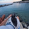 Mowgli participe au concours pour gagner de l'argent avec cette photo : animal, bag, blue, calm, cat, clouds, fishing, hand, leisure, nature, ocean, outdoor, person, relaxing, rocks, shore, sitting, sky, summer, water