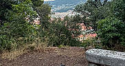 Mowgli a rejoint le concours — aidez-le/la à gagner de superbes lots ! animal, bench, cat, cityscape, cloud, dirt, exploration, feline, grass, landscape, leash, mountain, nature, outdoor, pet, scenic, sky, tree, view, walking