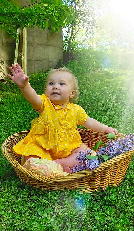 Melani is registered to the contest to win money with this photo: baby, basket, child, grass, person, play, toddler, wicker