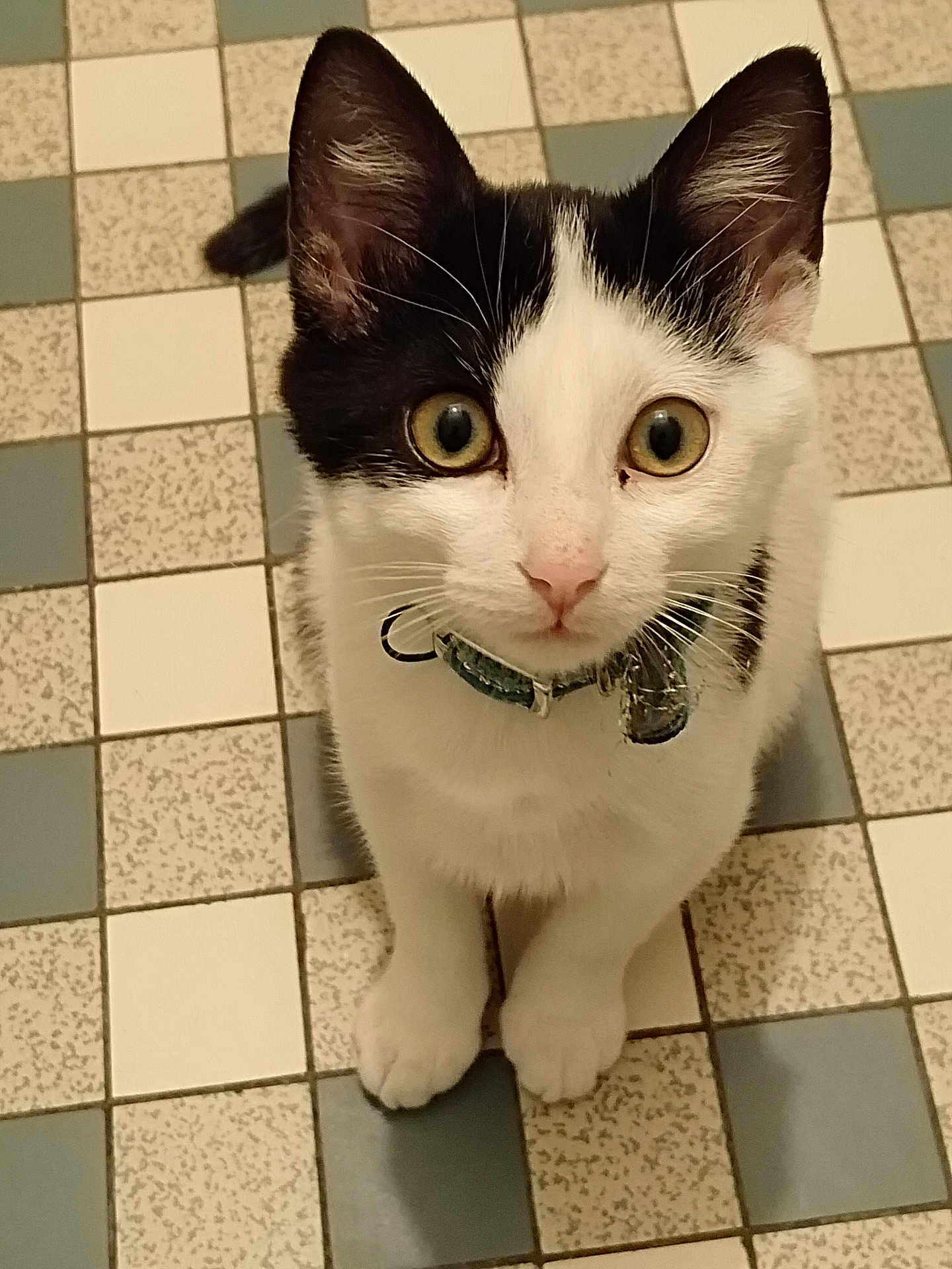 Yuki