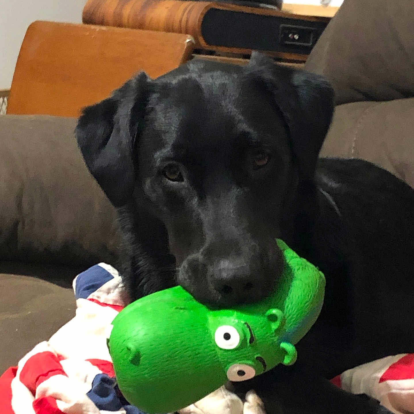 Otis