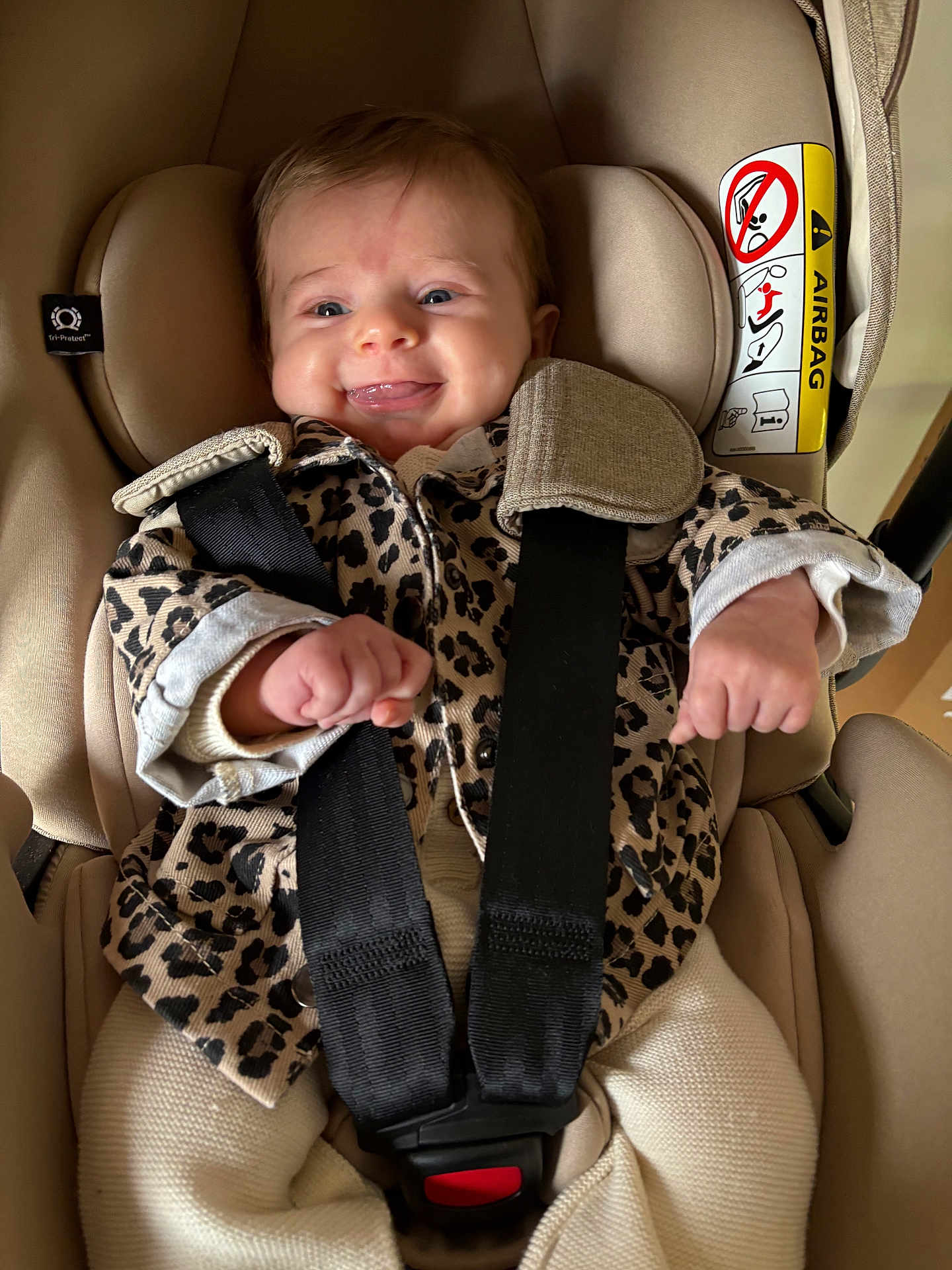 Louise a rejoint le concours — aidez-le/la à gagner de superbes lots ! baby, infant, car_seat, safety_harness, leopard_print, jacket, smile, happy, child, cute, indoor, person, portrait, seat, clothing, furniture, head, face, hands, straps