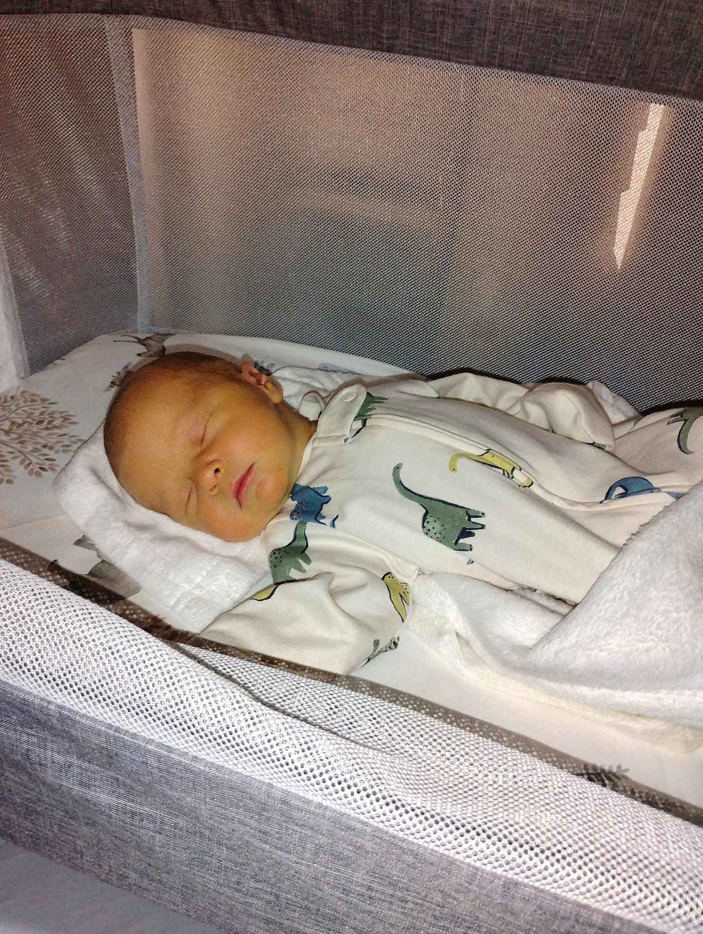 Waylen is registered to the contest to win money with this photo: baby, sleeping, crib, blanket, mesh, infant, child, pajamas, dinosaur_pattern, bed, resting, cute, soft, cozy, indoors, peaceful, newborn, toddler, comfort, sleepwear