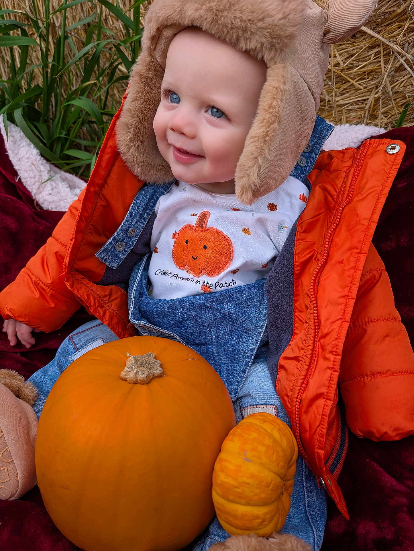 Brodie is registered to the contest to win money with this photo: toddler, child, pumpkin, orange_jacket, denim_overalls, furry_hat, smiling, outdoor, autumn, fall, harvest, cute, nature, grass, hay, seasonal, happy, portrait, baby, warm_clothing