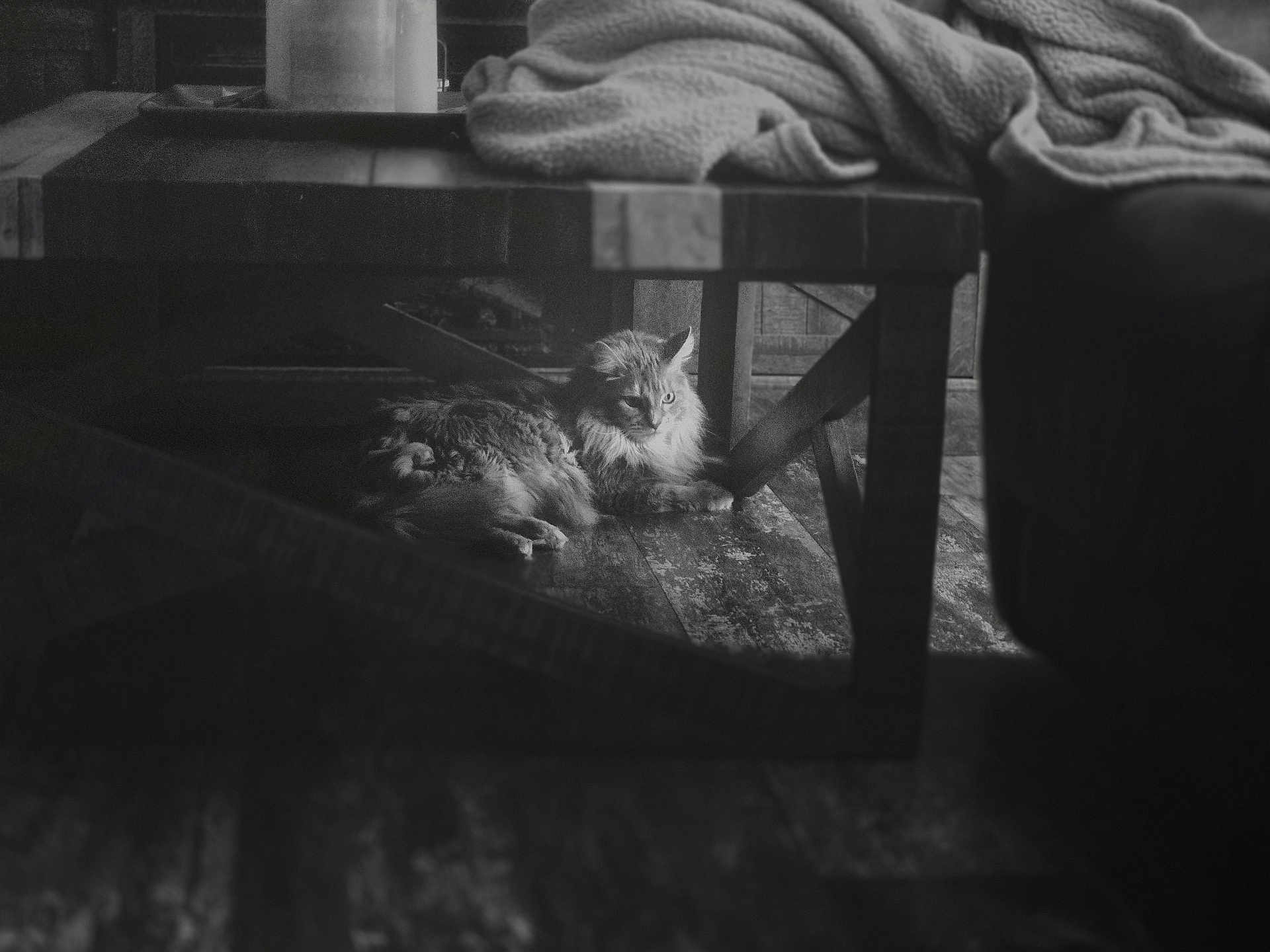 Mia