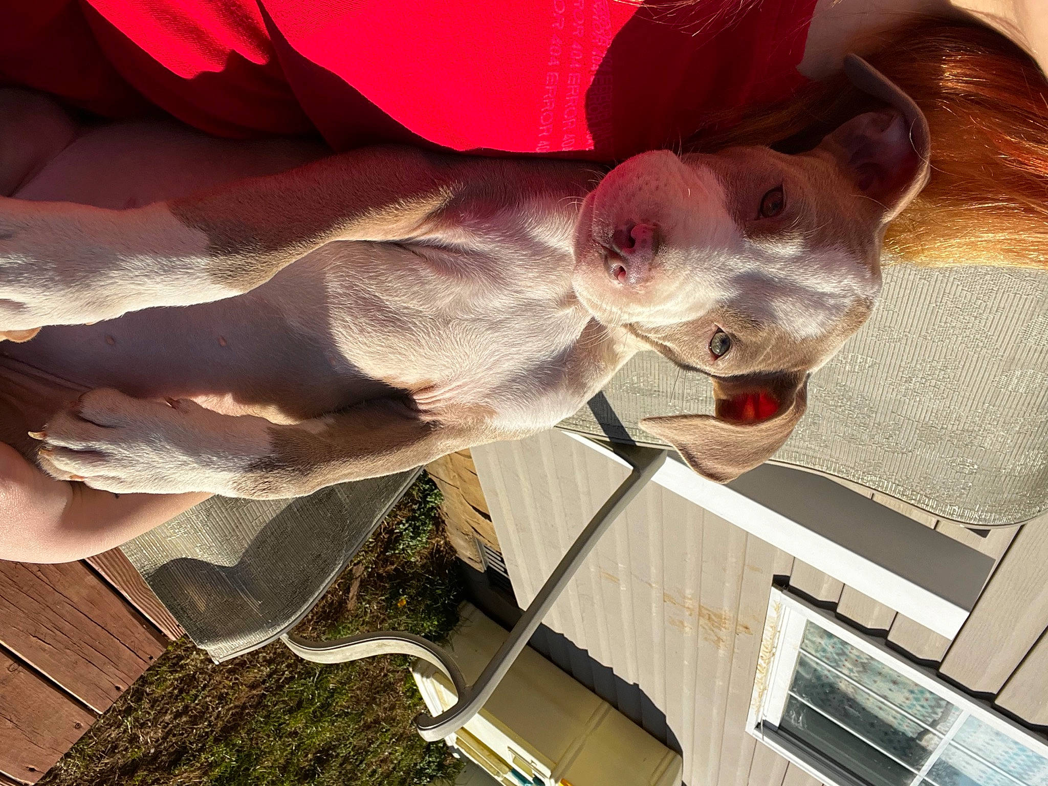 Leiah joined the competition — help win amazing prizes! art, carmine, ceiling, fawn, flesh, fun, fur, hat, magenta, petal, plant, selfie, snout, tree, visual_arts, wood