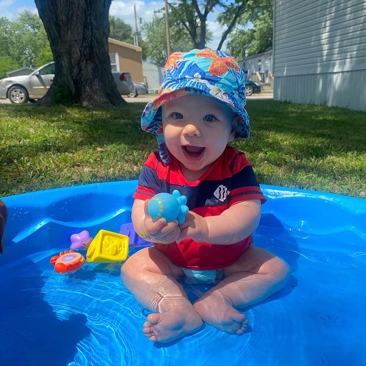 Decland is registered to the contest to win money with this photo: baby, blue, child, clothing, daytime, face, grass, happy, hat, nature, outdoor, person, play, pool, sitting, smile, summer, sunlight, toy, water
