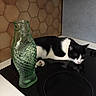 Winny participe au concours pour gagner de l'argent avec cette photo : cat, black_and_white, sleeping, resting, animal, pet, kitchen, stovetop, cooktop, glass_vase, fish_shaped, green_glass, honeycomb, backsplash, countertop, indoor, whiskers, paws, relaxed, reflection