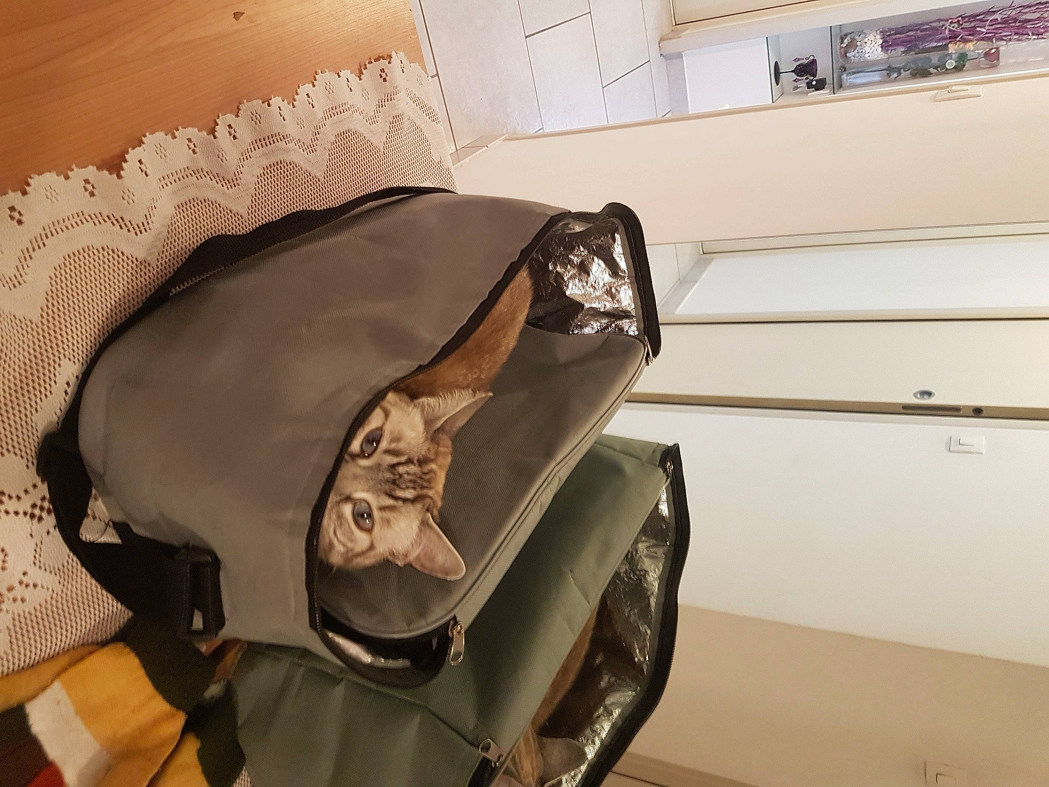 Bambi participe au concours pour gagner de l'argent avec cette photo : alloy_wheel, automotive_design, automotive_exterior, automotive_lighting, automotive_tire, bag, bumper, car, event, fender, headlamp, hood, luggage_and_bags, motor_vehicle, personal_luxury_car, personal_protective_equipment, rim, tire, vehicle, wheel