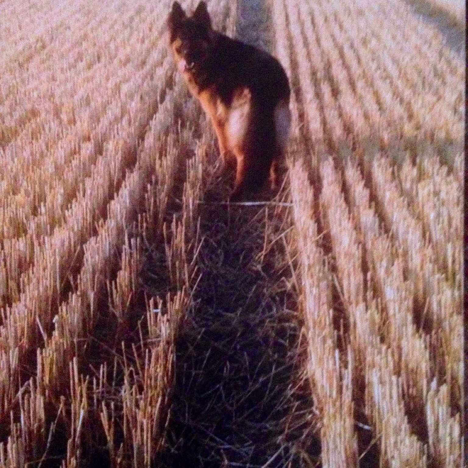 Kai joined the competition — help win amazing prizes!