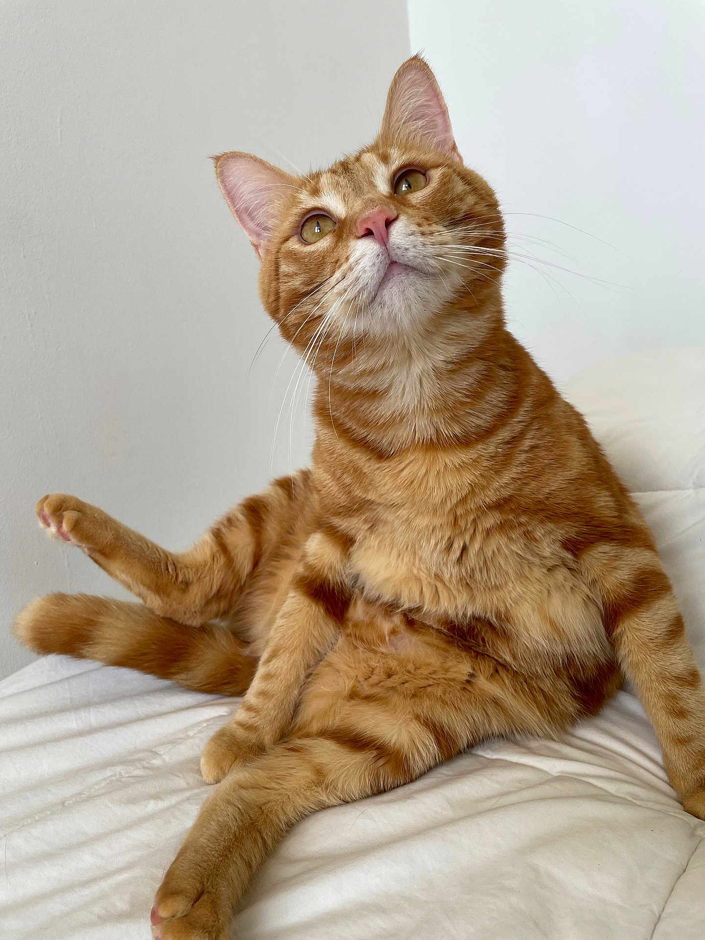 Felipe
