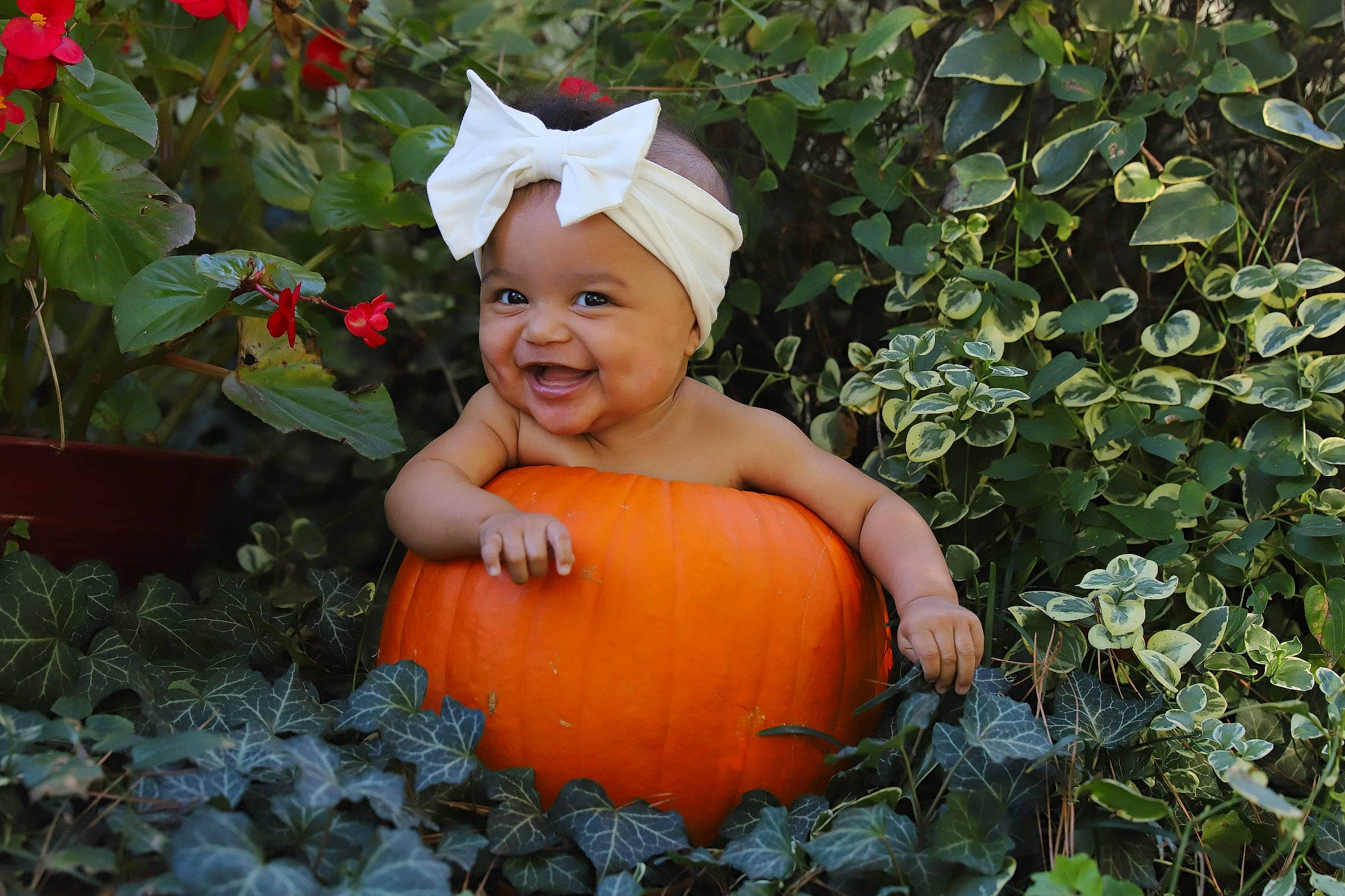 Addison joined the competition — help win amazing prizes! baby, baby_toddler_clothing, calabaza, eye, flower, fruit, grass, happy, head, headwear, human_body, joy, natural_foods, people_in_nature, person, plant, pumpkin, smile, squash, toddler