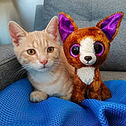 Simba a rejoint le concours — aidez-le/la à gagner de superbes lots ! cat, kitten, plush_toy, stuffed_animal, orange_cat, blue_blanket, couch, indoor, pet, feline, cute, soft_toy, purple_ears, whiskers, relaxed, animal, cozy, fur, home, companion