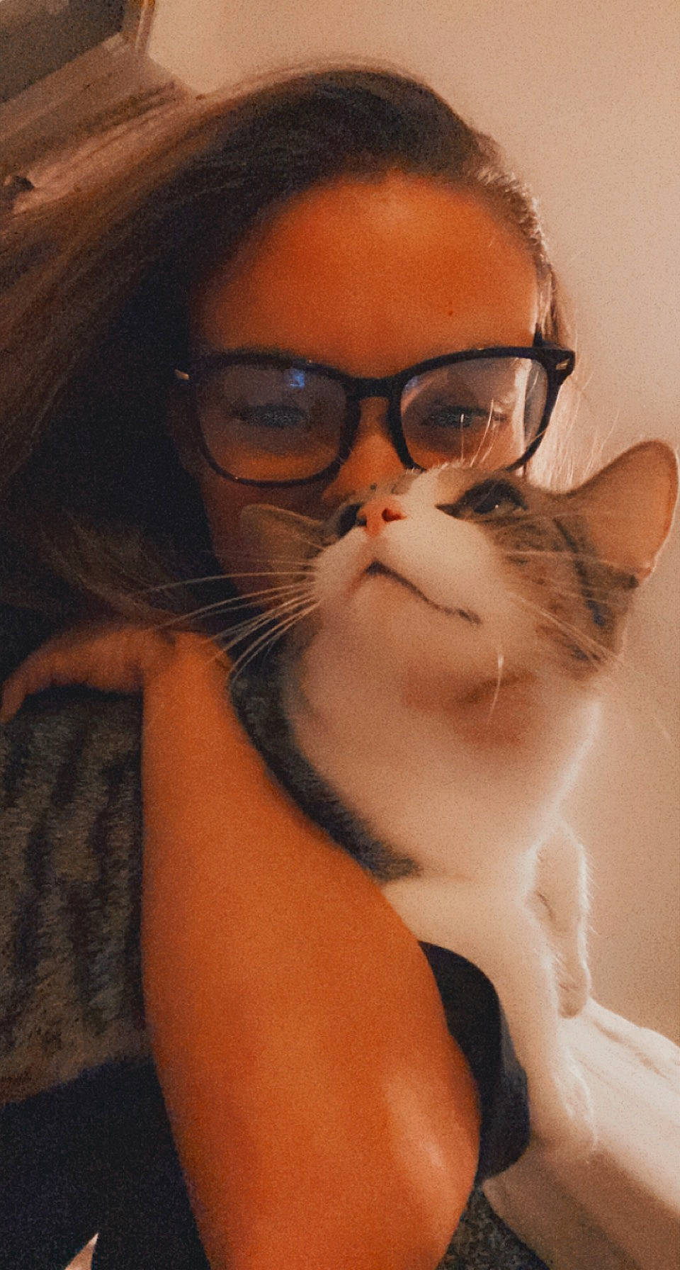 Prescott is registered to the contest to win money with this photo: carnivore, cat, cheek, comfort, ear, eyebrow, eyelash, eyewear, felidae, forehead, gesture, glasses, hand, iris, jaw, lip, neck, nose, vision_care, whiskers