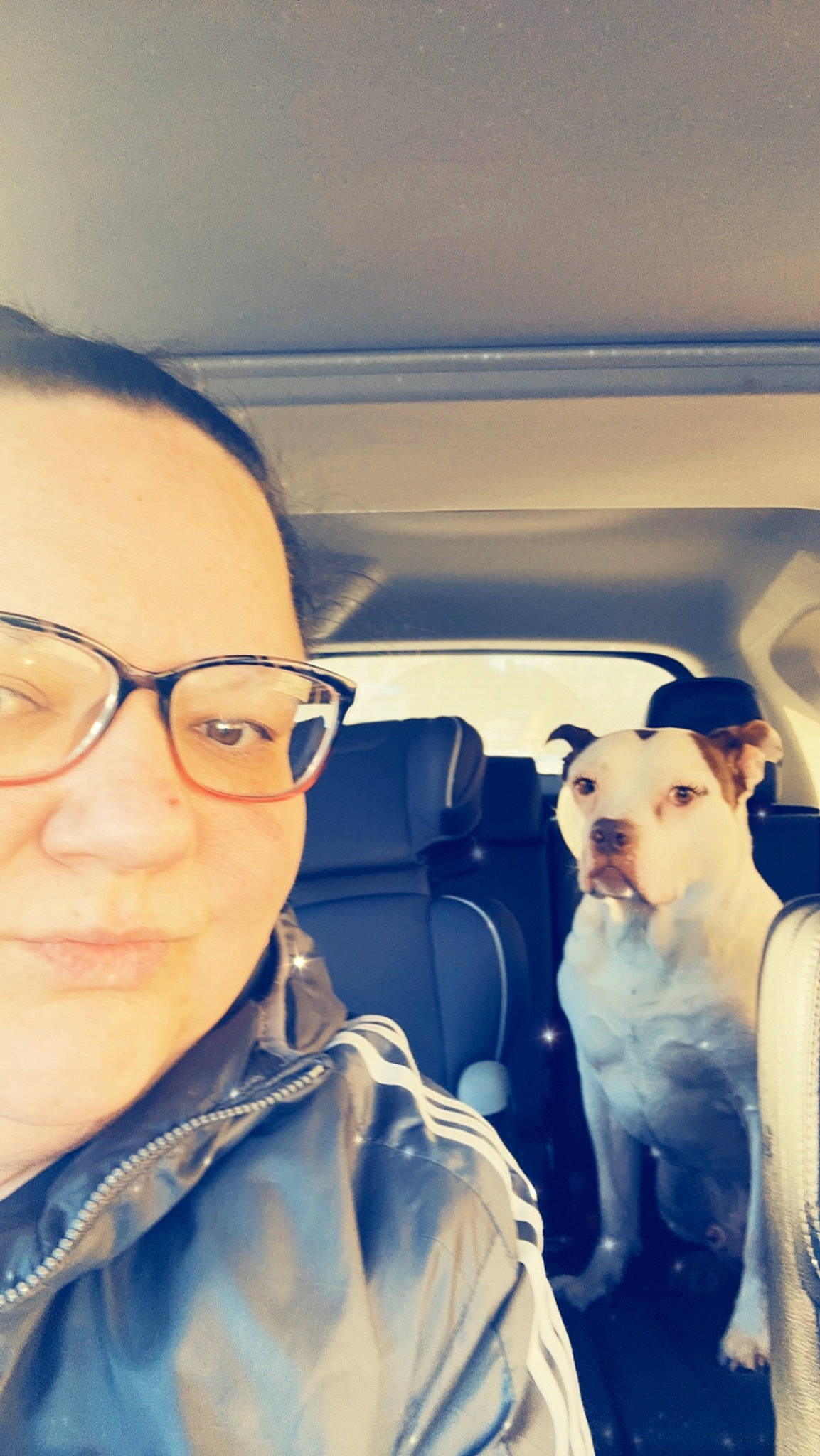 Roland joined the competition — help win amazing prizes! auto_part, automotive_design, automotive_exterior, car, carnivore, companion_dog, dog, dog_breed, eyewear, family_car, glasses, happy, head_restraint, mammal, personal_luxury_car, selfie, toy, travel, vehicle_door, vision_care