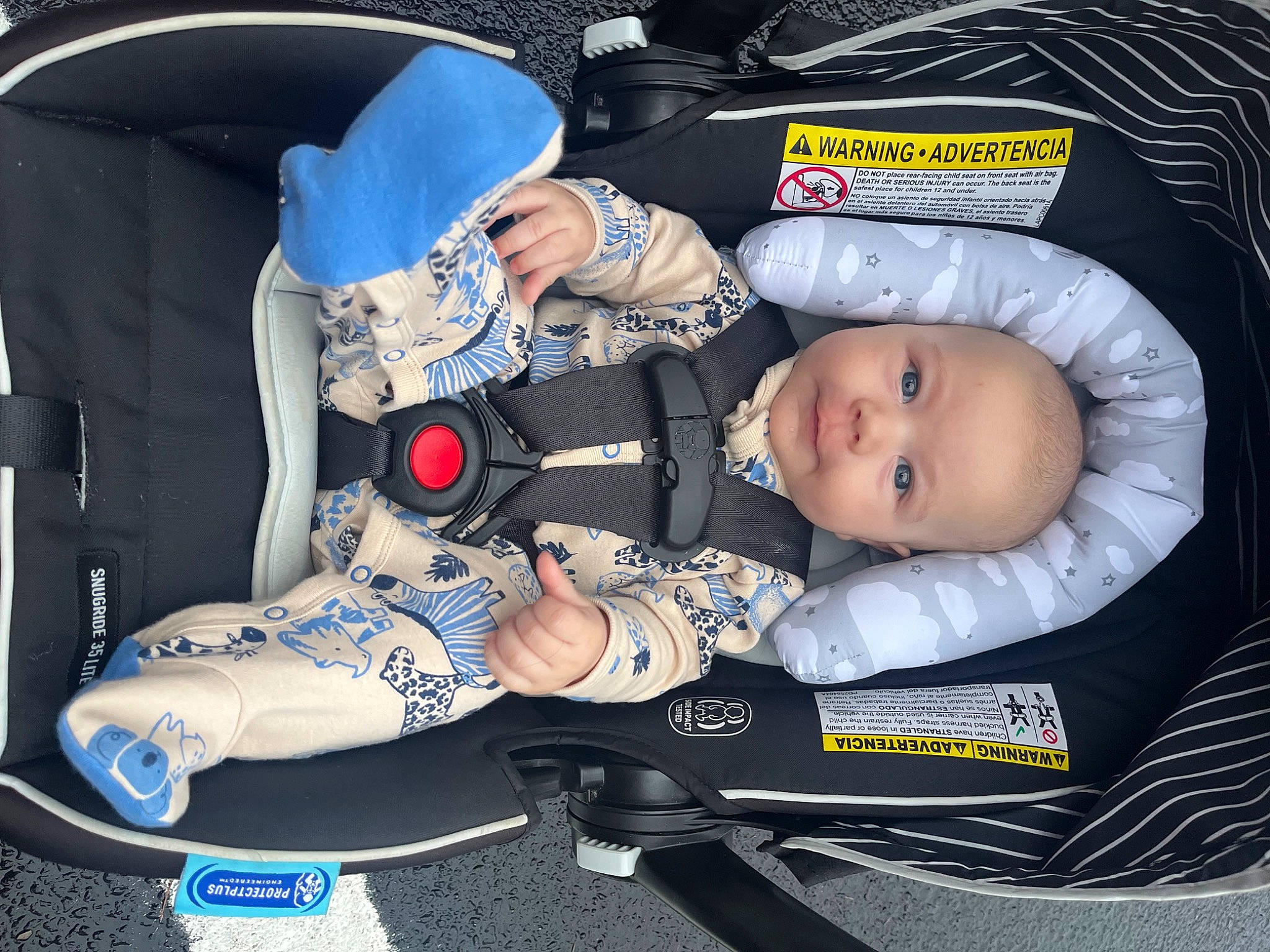 Elias is registered to the contest to win money with this photo: auto_part, baby, baby_carriage, baby_products, baby_toddler_clothing, car_seat, carmine, child, comfort, hat, lap, person, sitting, toddler