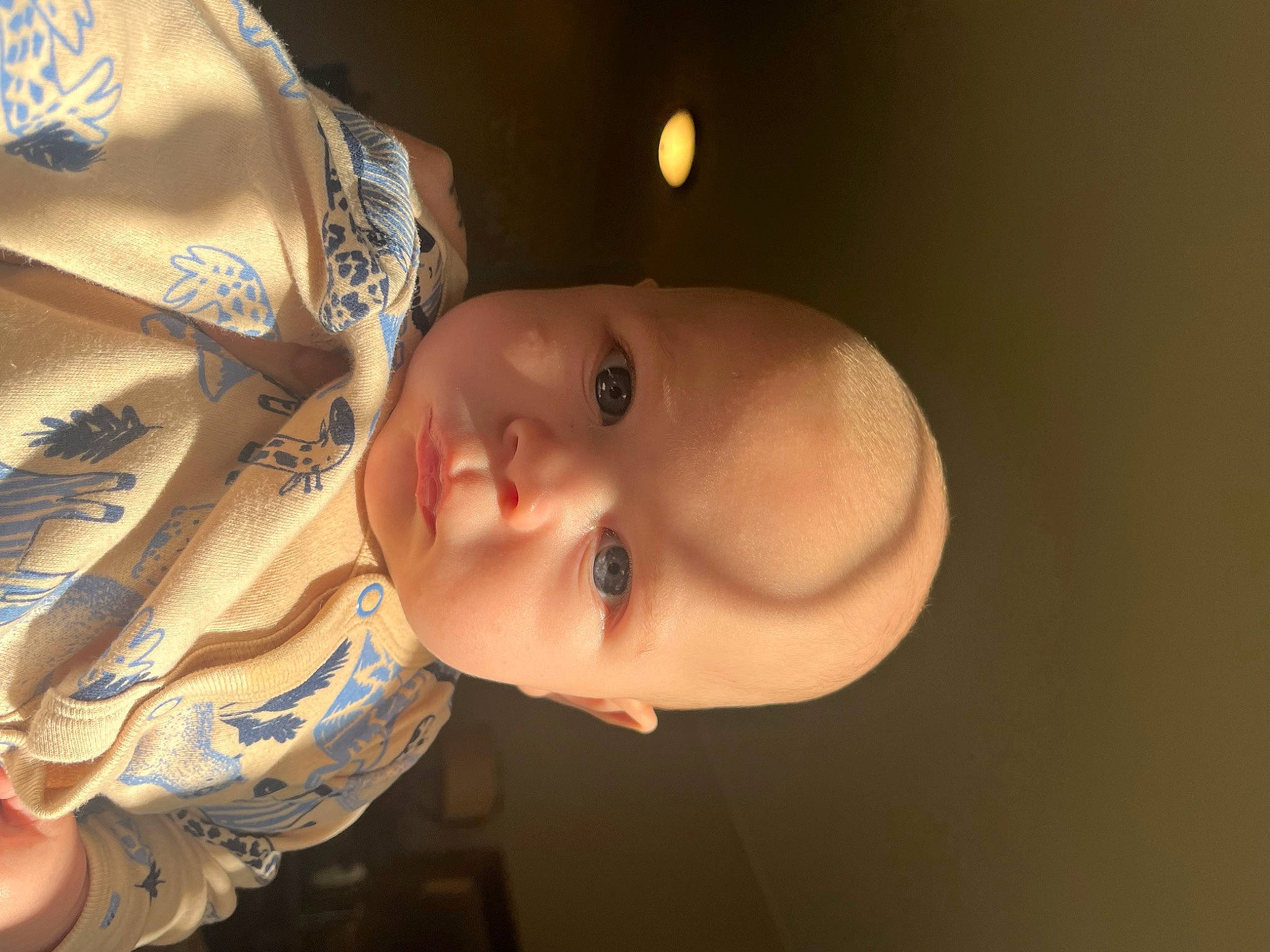 Elias is registered to the contest to win money with this photo: baby, cheek, ear, eye, eyebrow, eyelash, flash_photography, happy, head, headgear, iris, lip, neck, nose, person, plant, smile, toddler, toy, tree