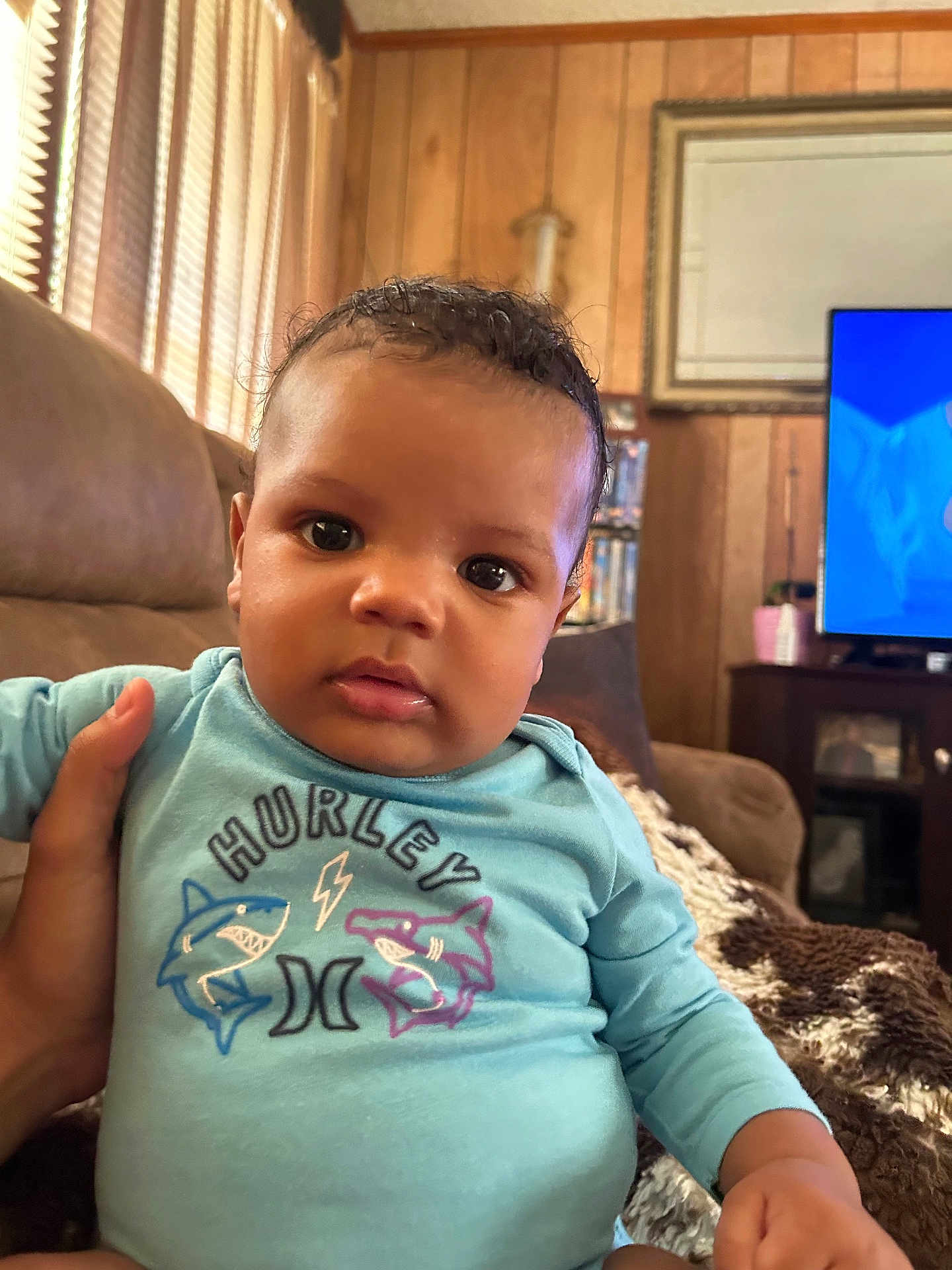 Damauirre is registered to the contest to win money with this photo: baby, child, indoor, person, blue_shirt, shark_graphic, couch, hand, wood_paneling, television, blanket, face, eyes, curly_hair, furniture, living_room, casual_clothing, expression, portrait, home