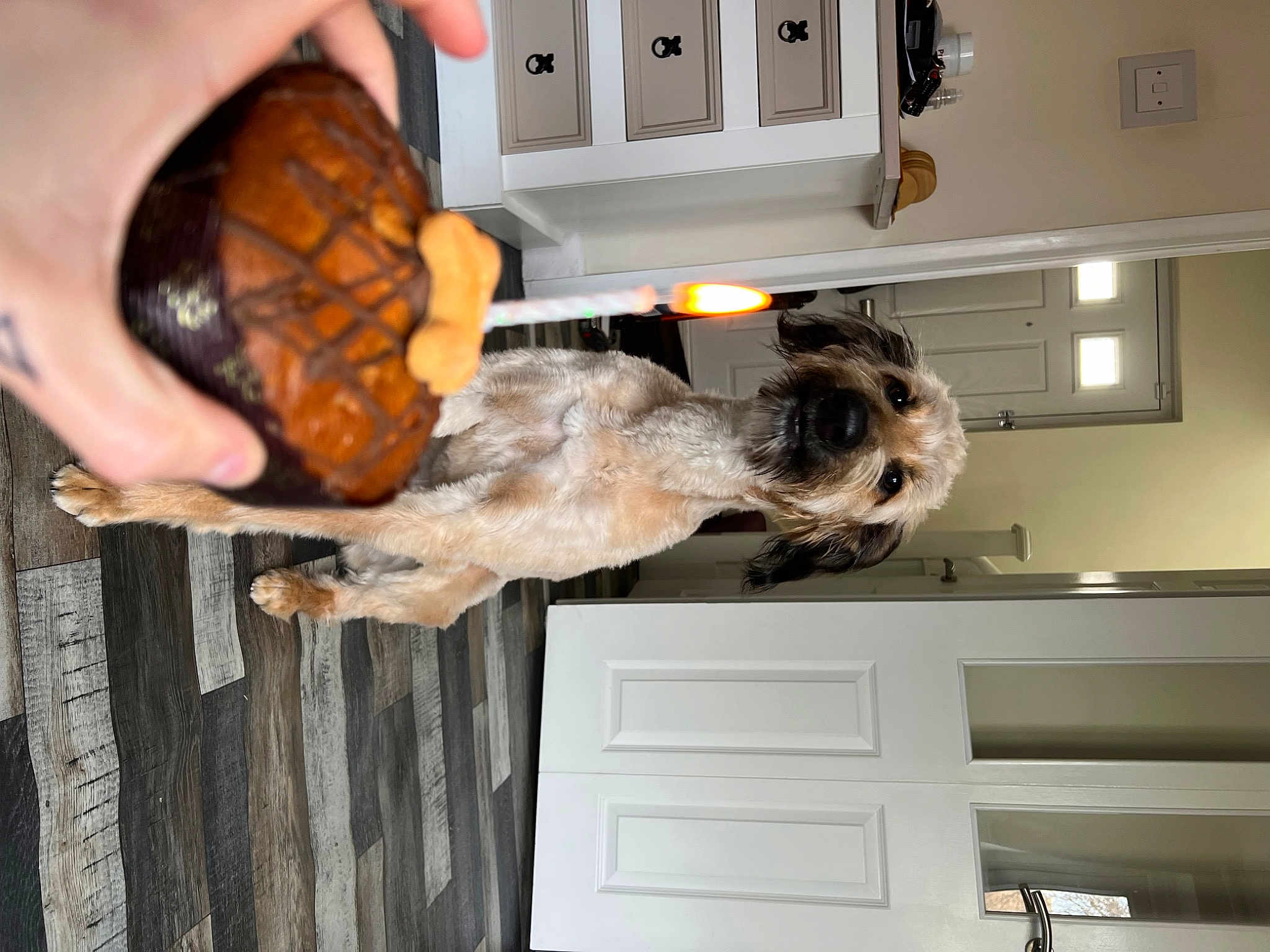 Archie