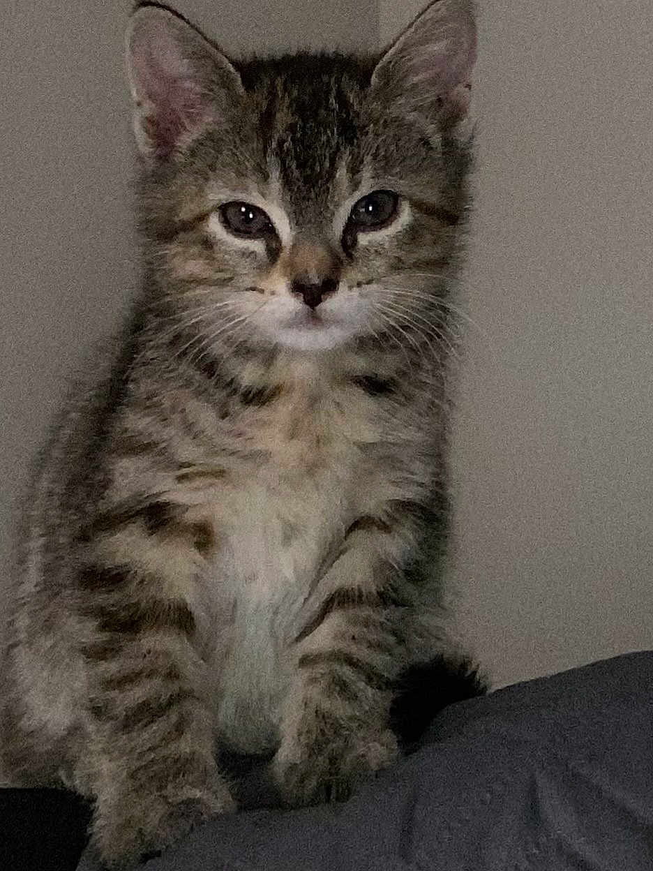 Nelly