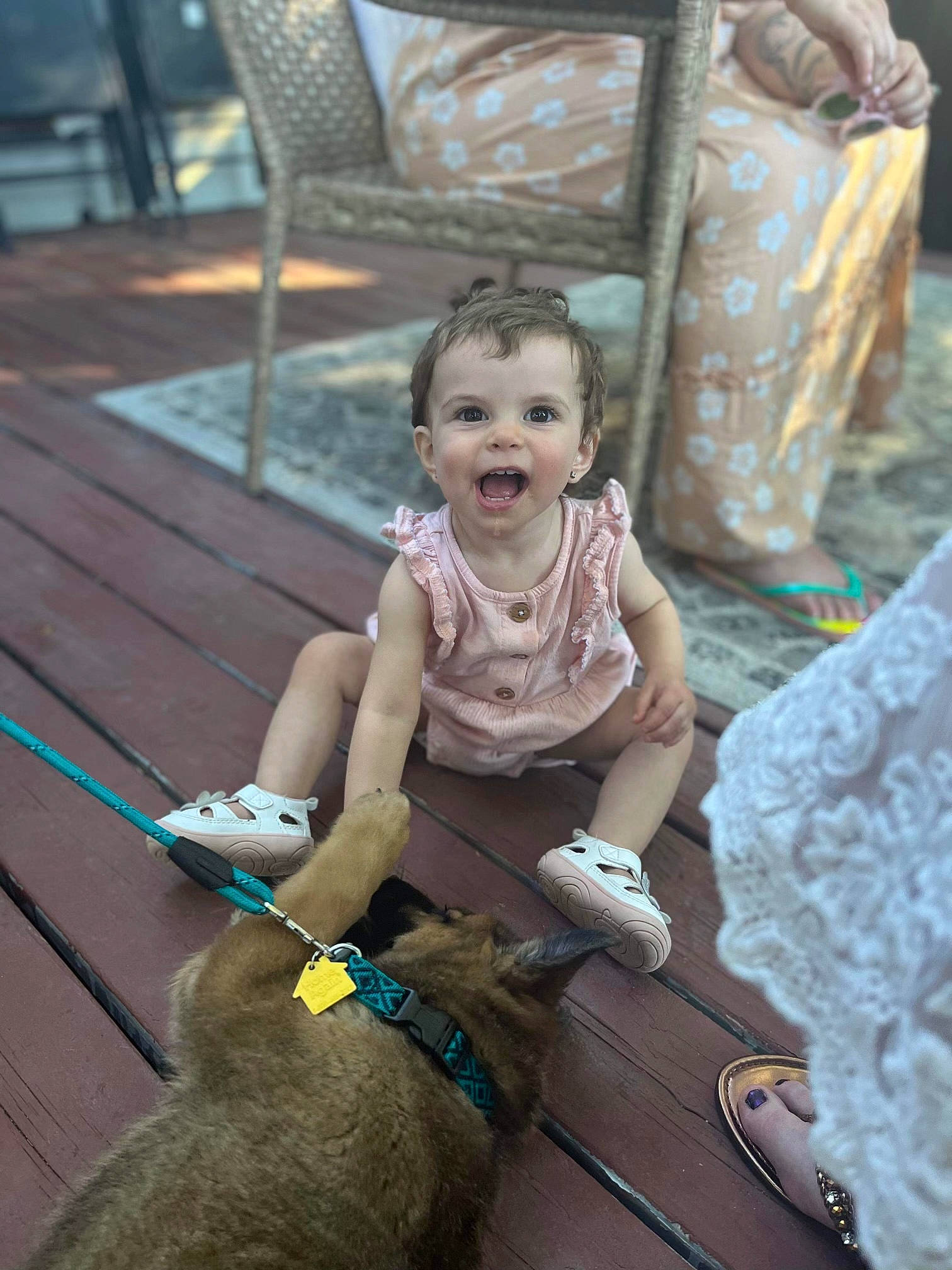 Lila joined the competition — help win amazing prizes! baby, chair, child, collar, companion_dog, dog, dog_breed, event, flooring, fun, green, happy, leash, leisure, person, sandal, sitting, smile, toddler, toy