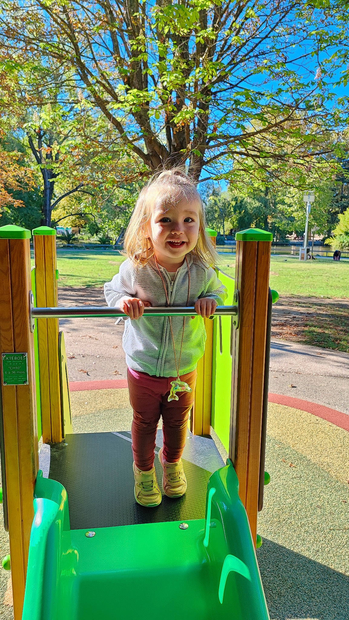 Rebecca participe au concours pour gagner de l'argent avec cette photo : baby_toddler_clothing, child, chute, city, fun, grass, green, joy, leisure, nature, outdoor_play_equipment, person, plant, play, playground, public_space, recreation, shorts, smile, summer
