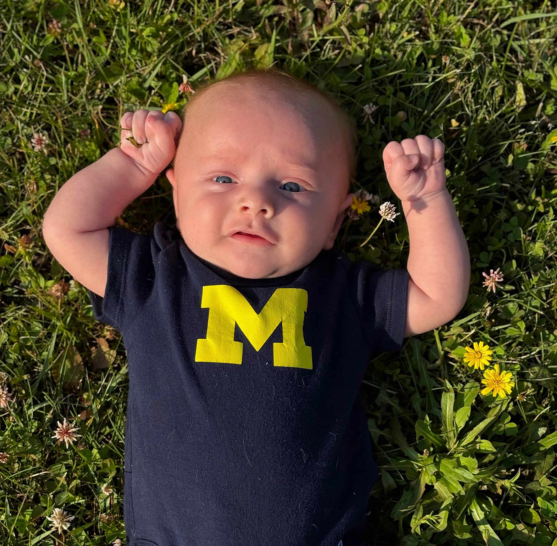 Grayson joined the competition — help win amazing prizes! baby, infant, grass, flowers, outdoor, sunlight, blue_shirt, yellow_letter, cute, child, nature, plant, clothing, portrait, person, fist, summer, field, green, happy