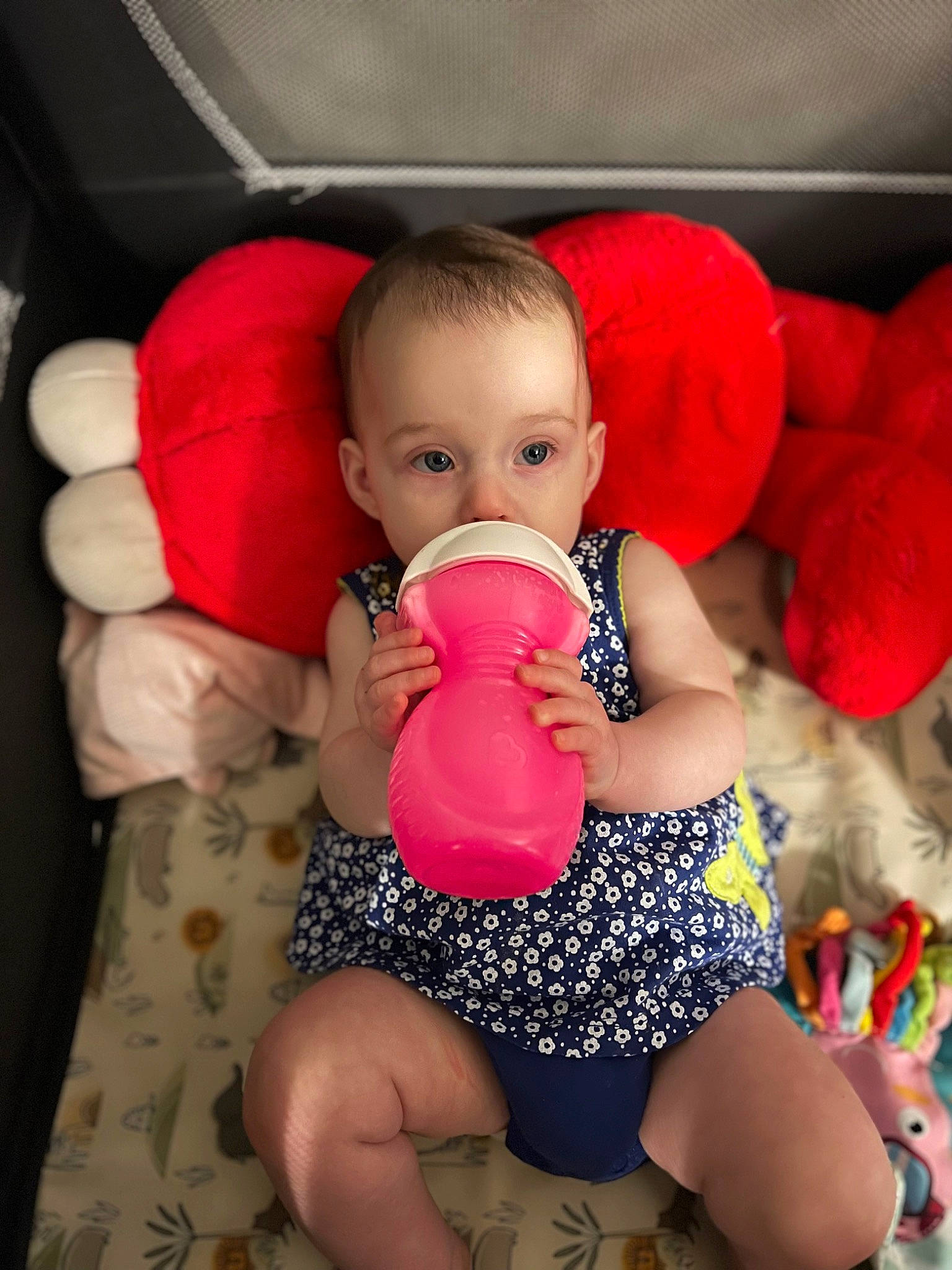 Evelynn is registered to the contest to win money with this photo: abdomen, baby_playing_with_toys, baby_toddler_clothing, cheek, comfort, finger, happy, human_leg, leg, lip, mouth, nail, person, pink, shoulder, skin, thigh, thumb, toddler, toy