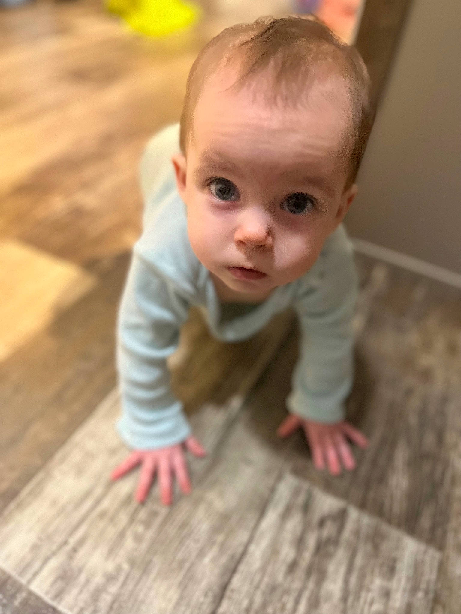 Lilliana joined the competition — help win amazing prizes! baby, baby_toddler_clothing, cheek, child, crawling, dress, fawn, floor, flooring, fun, grass, happy, hardwood, nose, person, sitting, skin, surprise, toddler, wood