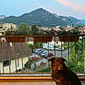 dog, balcony, mountain, sky, car, house, flower, railing, tree, plant, road, nature, residential_area, sunset, pet, outdoor, window, wood_floor, greenery, landscape