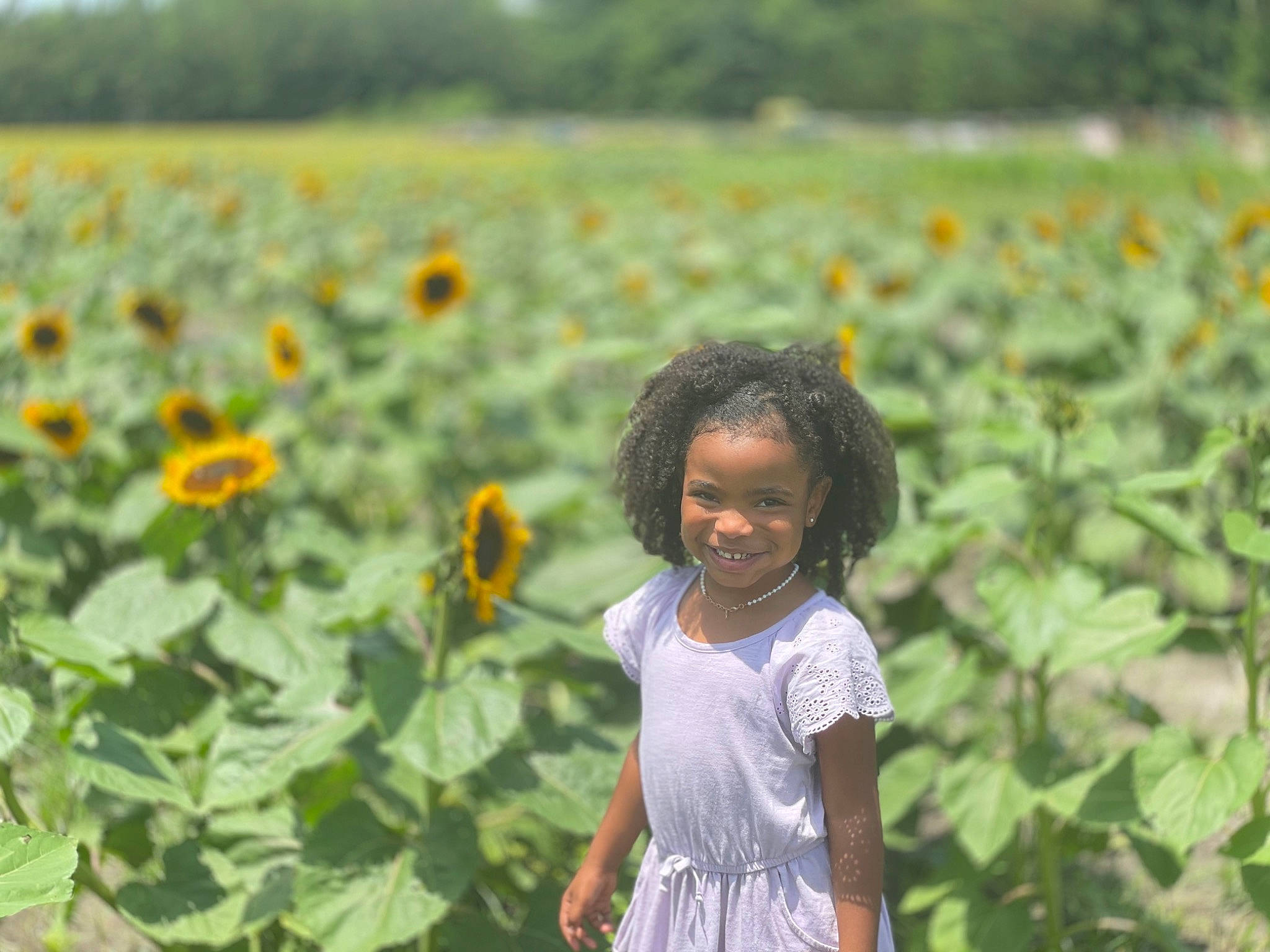 Anais Keller Robinson is registered to the contest to win money with this photo: adaptation, agriculture, annual_plant, botany, field, flower, flowering_plant, grass, grassland, happy, joy, leaf, meadow, morning, people_in_nature, person, plant, rural_area, smile, summer