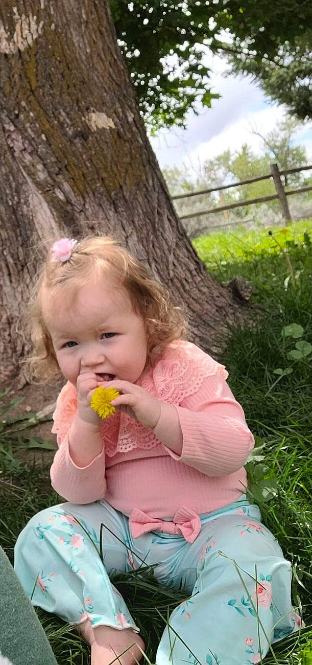 Willow is registered to the contest to win money with this photo: baby, baby_products, baby_toddler_clothing, cheek, child, face, fruit, fun, grass, happy, leisure, lip, people_in_nature, person, plant, recreation, sitting, skin, sky, toddler