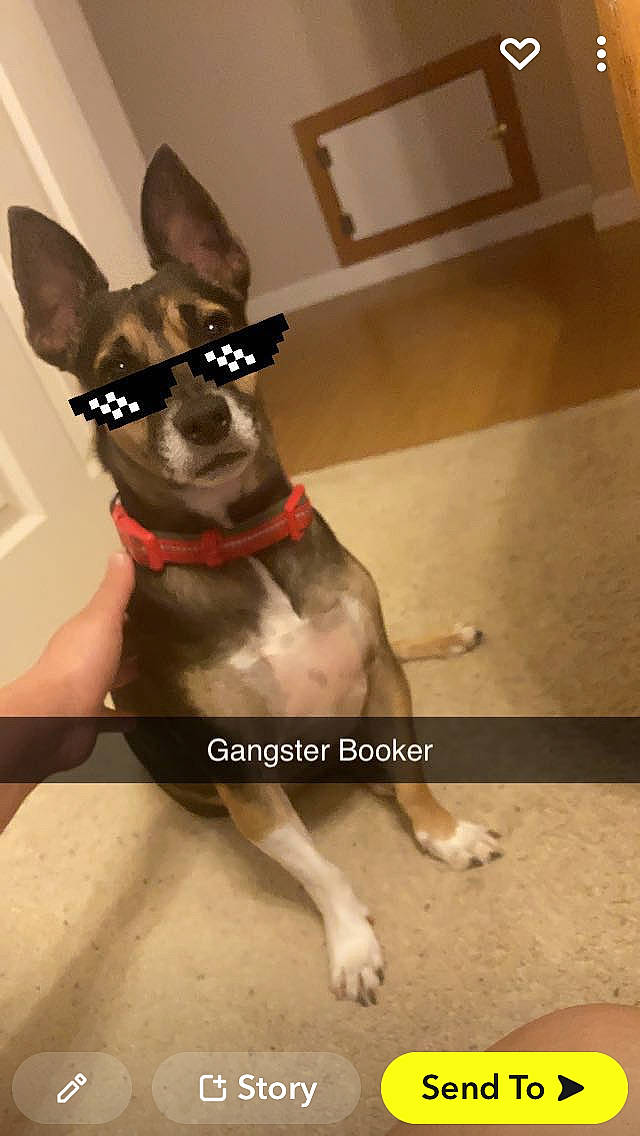 Booker