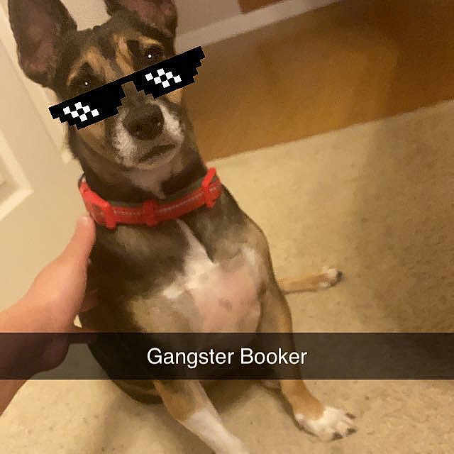 Booker
