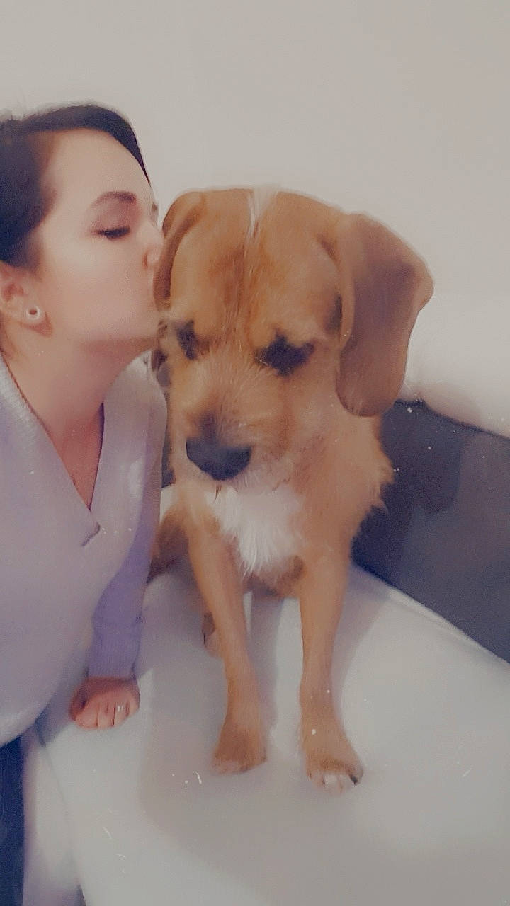 Loopy a rejoint le concours — aidez-le/la à gagner de superbes lots ! beige, canidae, carnivore, comfort, companion_dog, dog, dog_breed, earrings, fawn, interaction, jewellery, kiss, love, mammal, pet_supply, puppy, skin, snout, sporting_group, working_animal