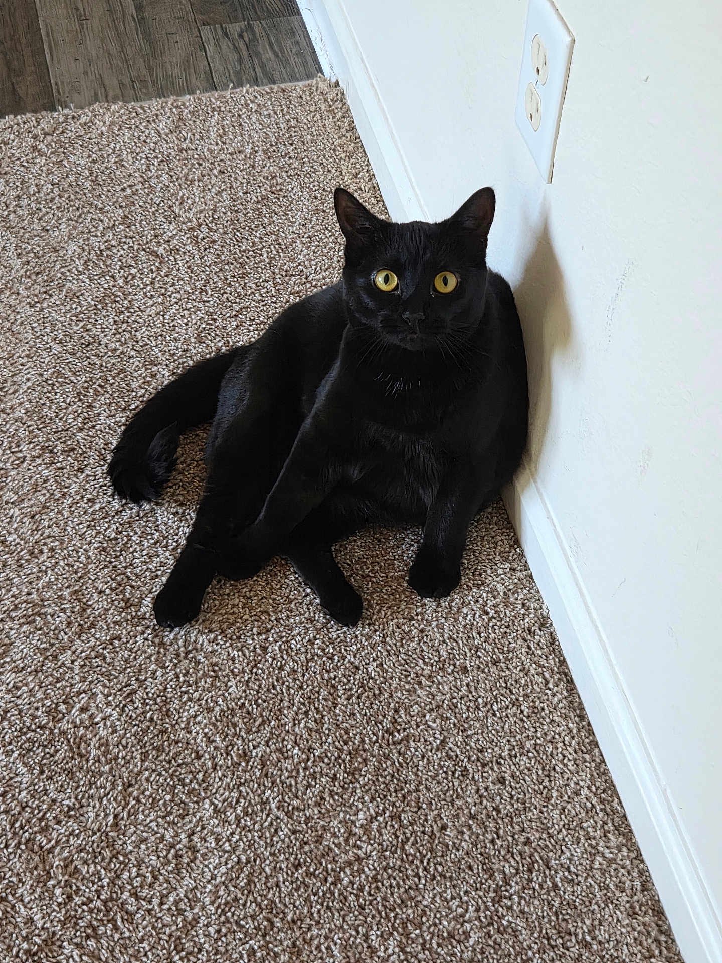Luna