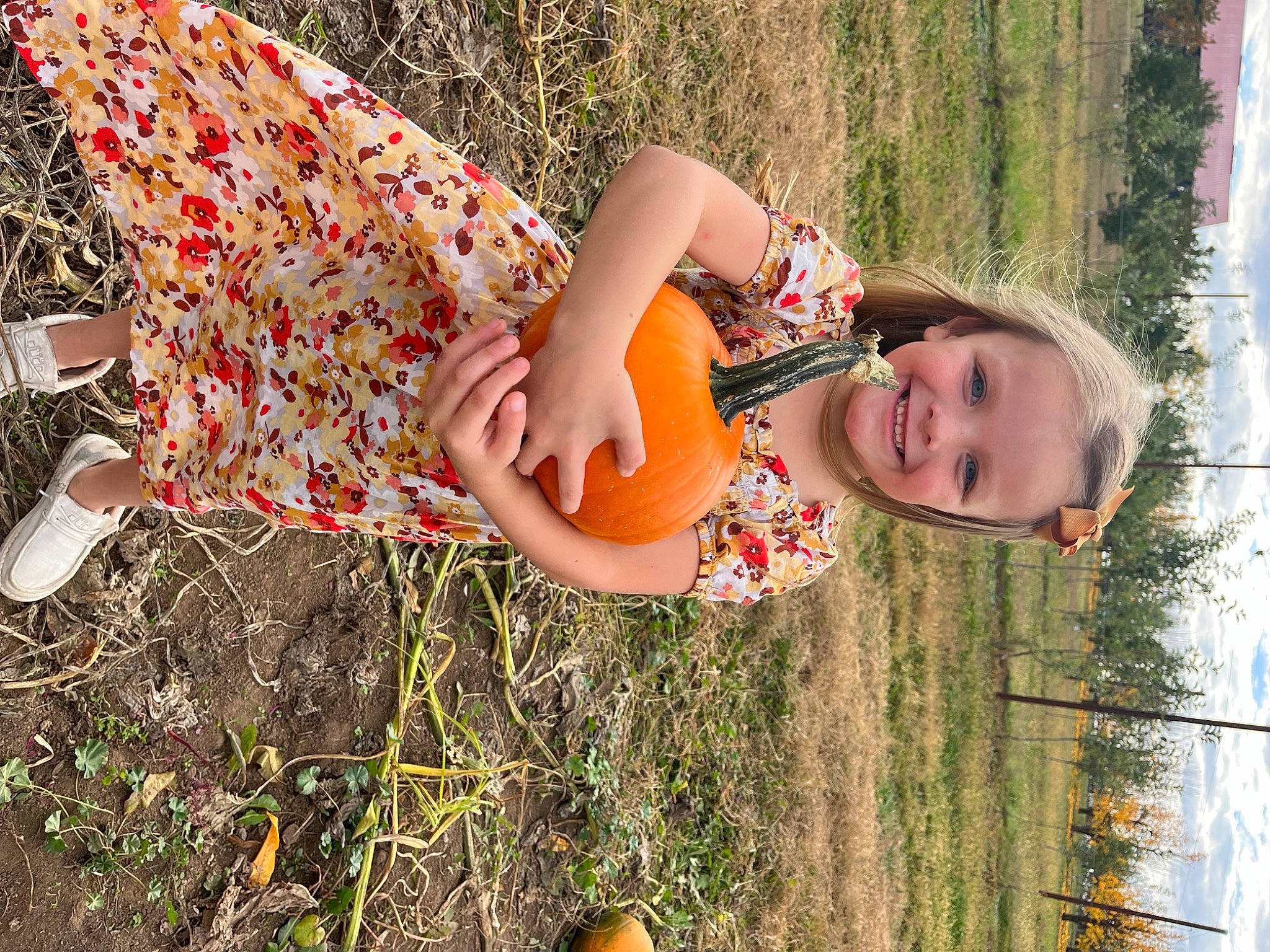 Aubreigh is registered to the contest to win money with this photo: adaptation, botany, dress, fun, grass, grass_family, happy, human_body, joy, leisure, orange, people_in_nature, person, plant, smile, sunlight, thigh, toddler, tree, vertebrate