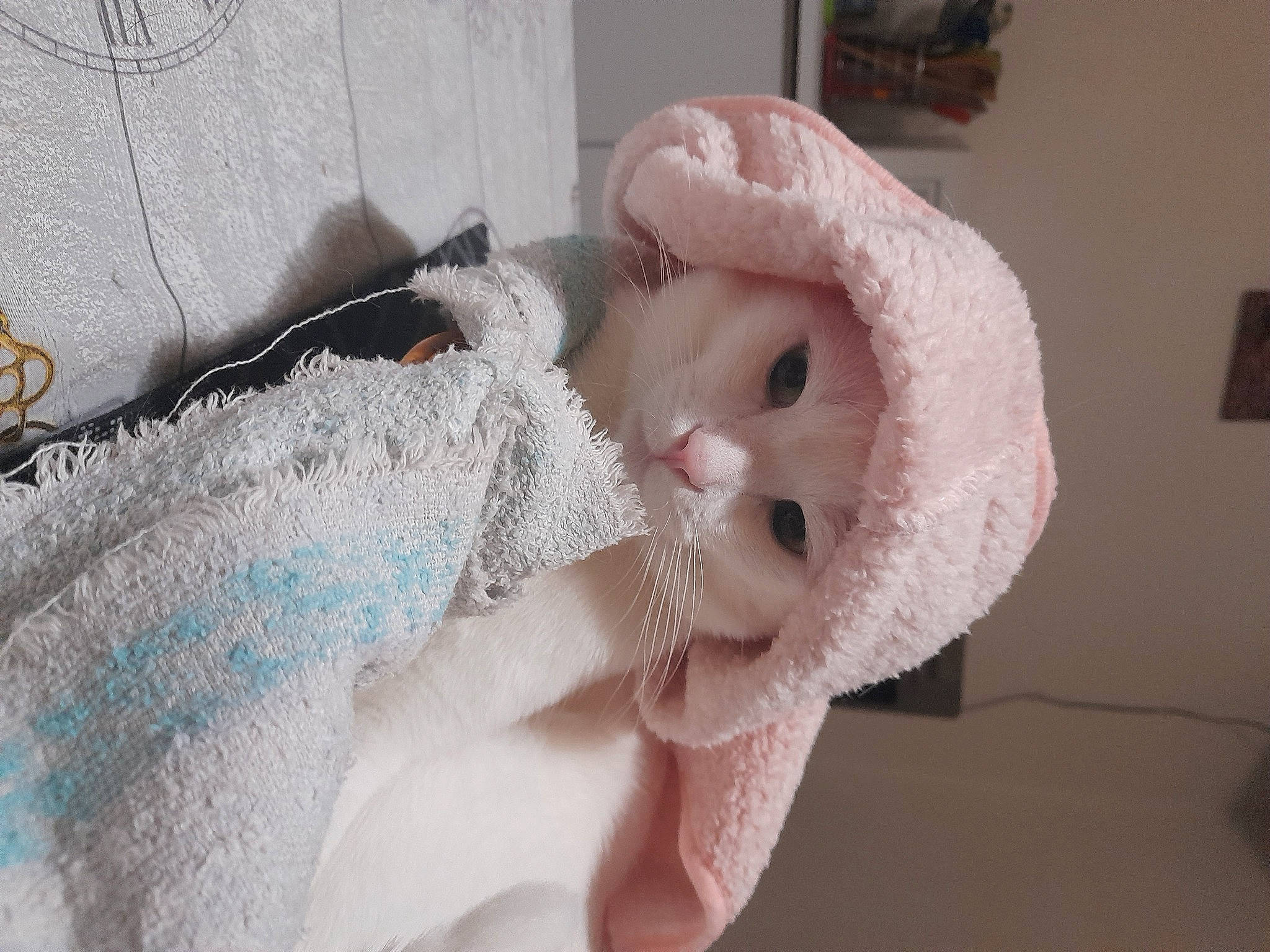 Sammy a rejoint le concours — aidez-le/la à gagner de superbes lots ! baby_toddler_clothing, cap, child, embellishment, eyelash, fashion_accessory, fur, hair_accessory, linens, ornament, peach, plush, stuffed_toy, teddy_bear, textile, thread, toy, whiskers, wool, woven_fabric