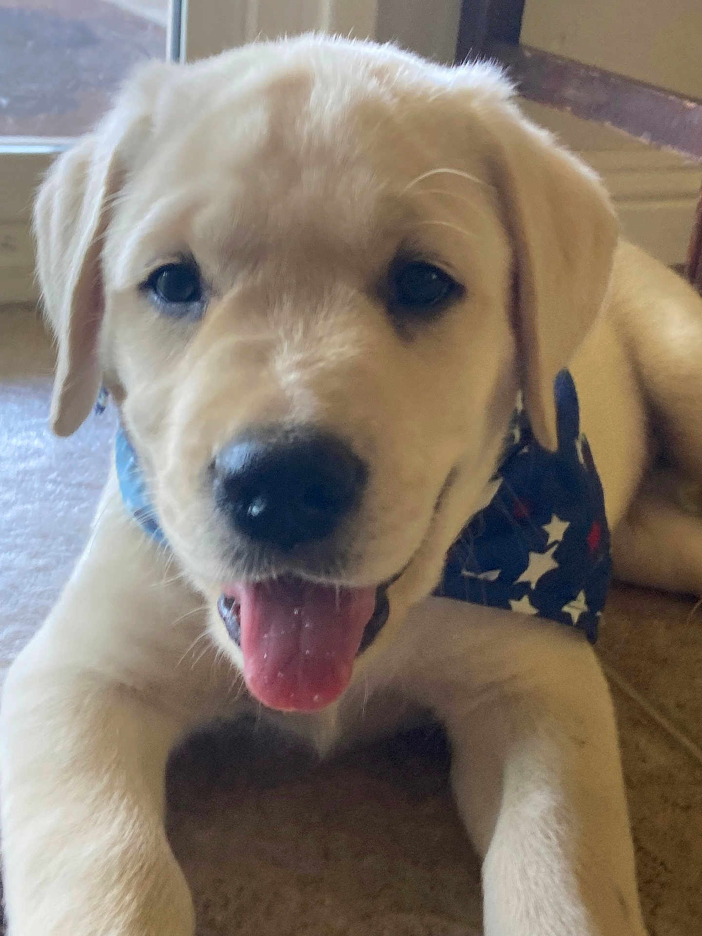 Zeus