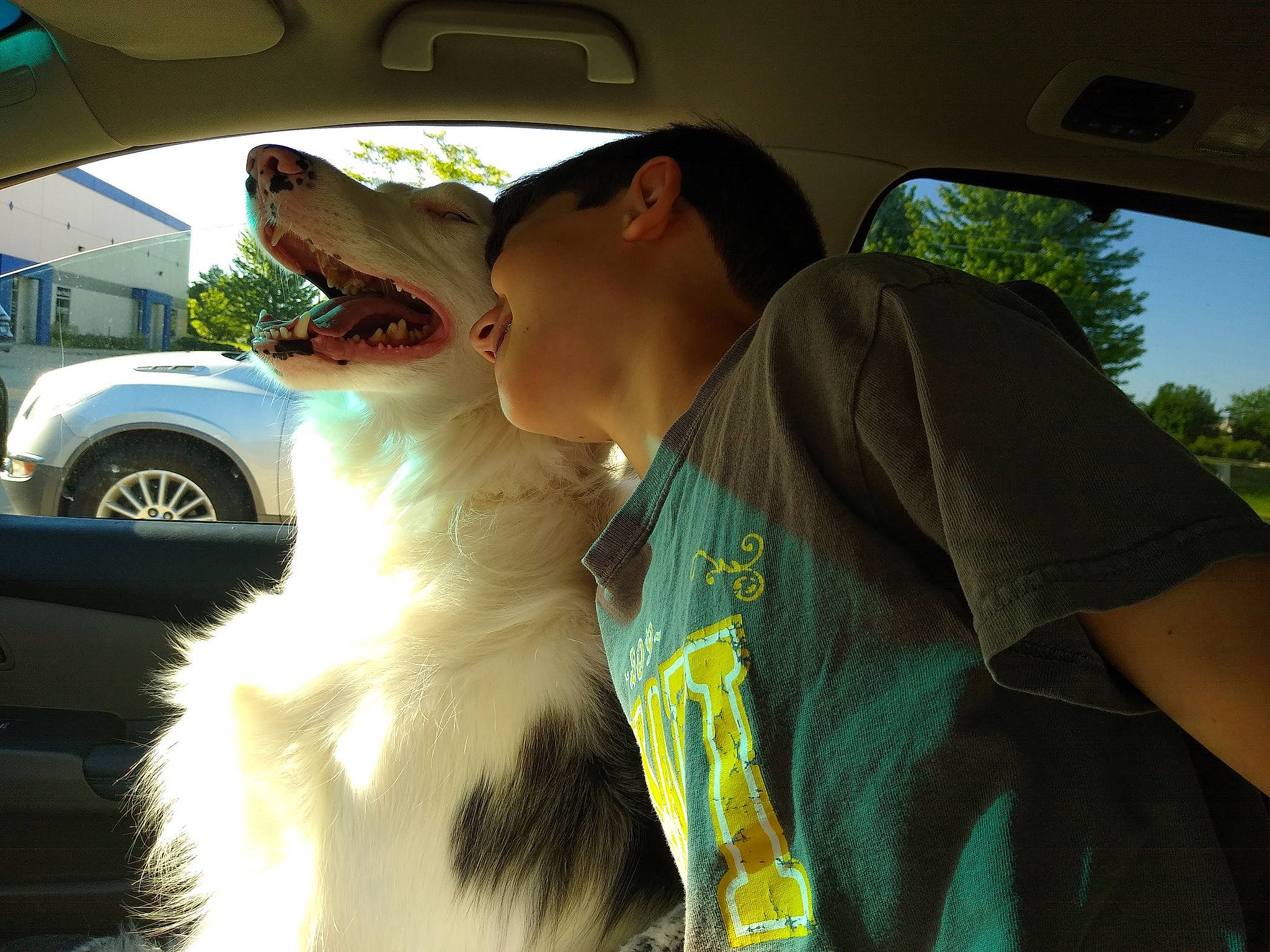 The Mighty Quinn joined the competition — help win amazing prizes! auto_part, automotive_exterior, automotive_mirror, automotive_window_part, car, carnivore, companion_dog, dog, eyewear, family_car, gesture, motor_vehicle, rear_view_mirror, sky, tire, travel, vehicle, vehicle_door, wheel, windshield