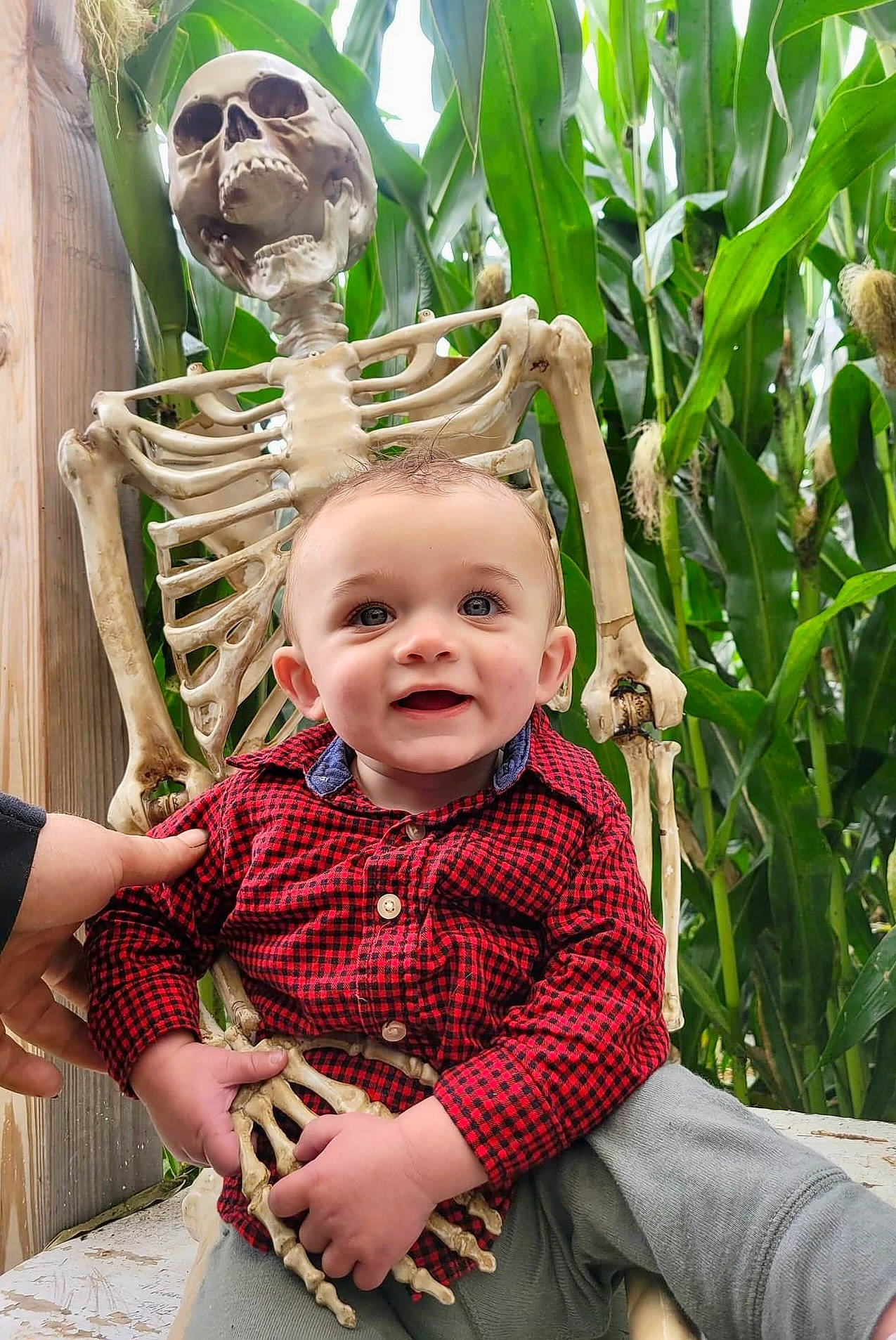 Karson is registered to the contest to win money with this photo: baby, baby_toddler_clothing, botany, chair, child, fun, garden, grass, green, happy, joy, leaf, leisure, pattern, people_in_nature, person, photograph, plant, sitting, smile
