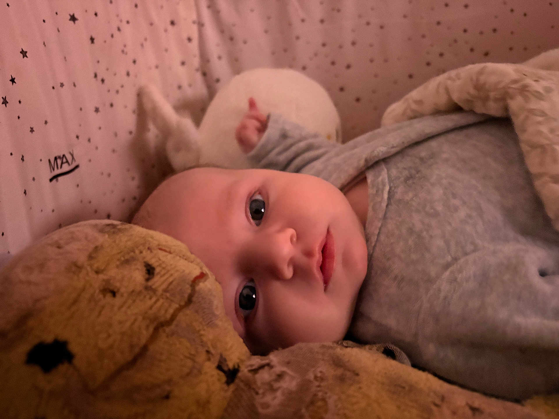 Pablo participe au concours pour gagner de l'argent avec cette photo : baby, infant, newborn, crib, bedding, blanket, plush_toy, stuffed_animal, pajamas, portrait, close_up, big_eyes, gaze, cozy, sleepy, soft_texture, stars_pattern, indoor, laying_down, face