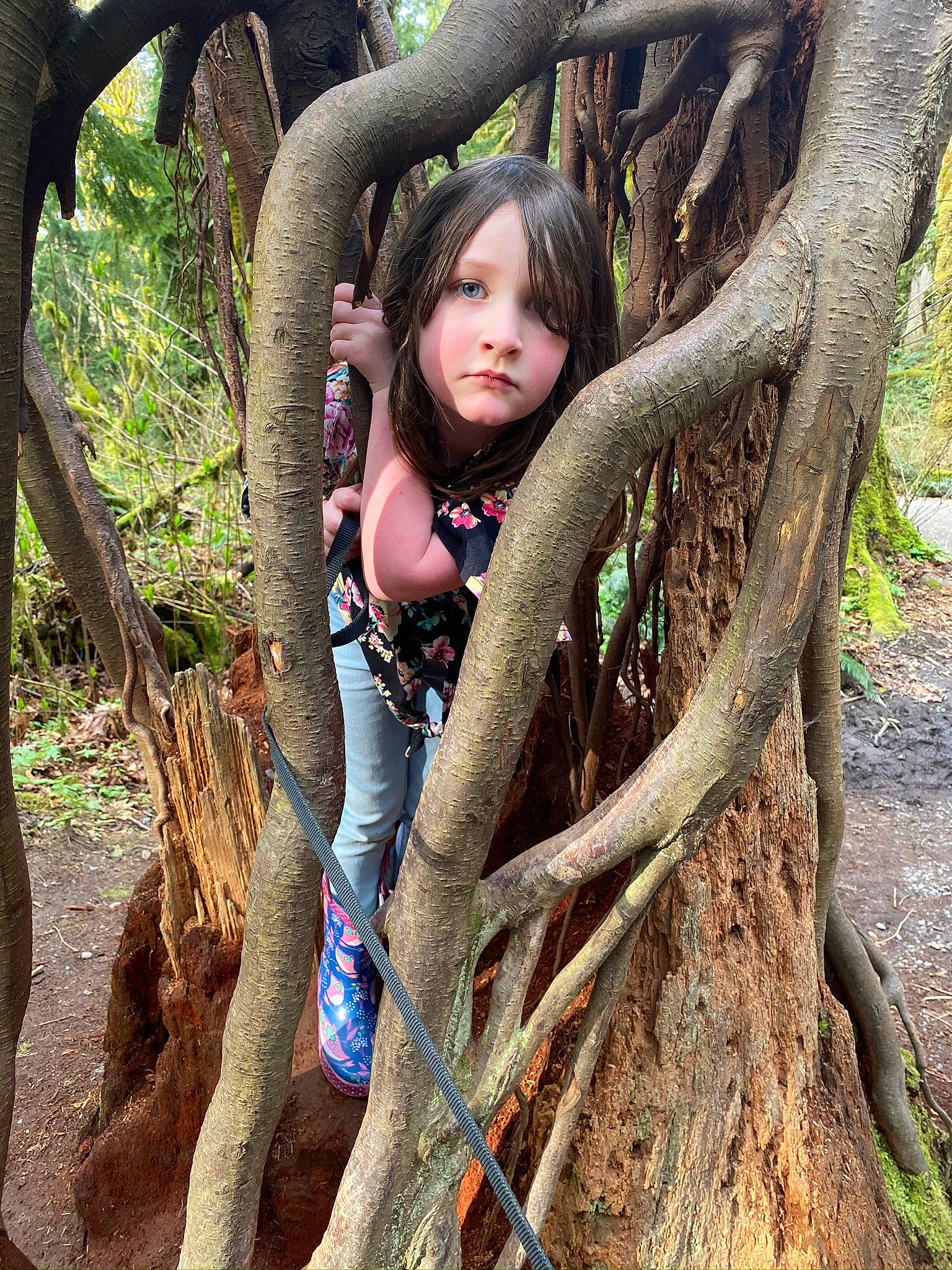 Bailee is registered to the contest to win money with this photo: beauty, branch, forest, grass, happy, leaf, leg, leisure, long_hair, nature, people_in_nature, person, plant, thigh, toddler, tree, trunk, wood, woodland, woody_plant