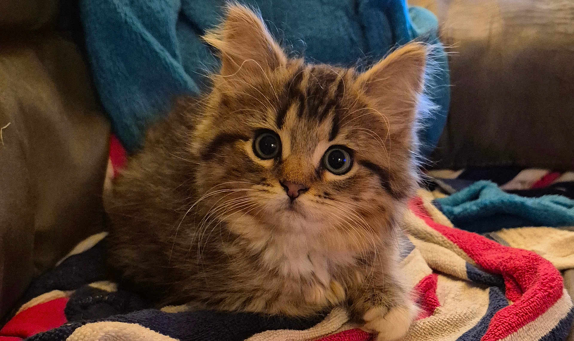 Leela