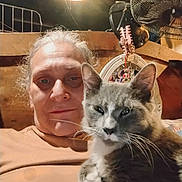 Pretty joined the competition — help win amazing prizes! animal, casual, cat, closeup, companion, decoration, face, fan, fur, furniture, gray_cat, home, indoor, person, pet, portrait, relaxed, selfie, warm_lighting, whiskers