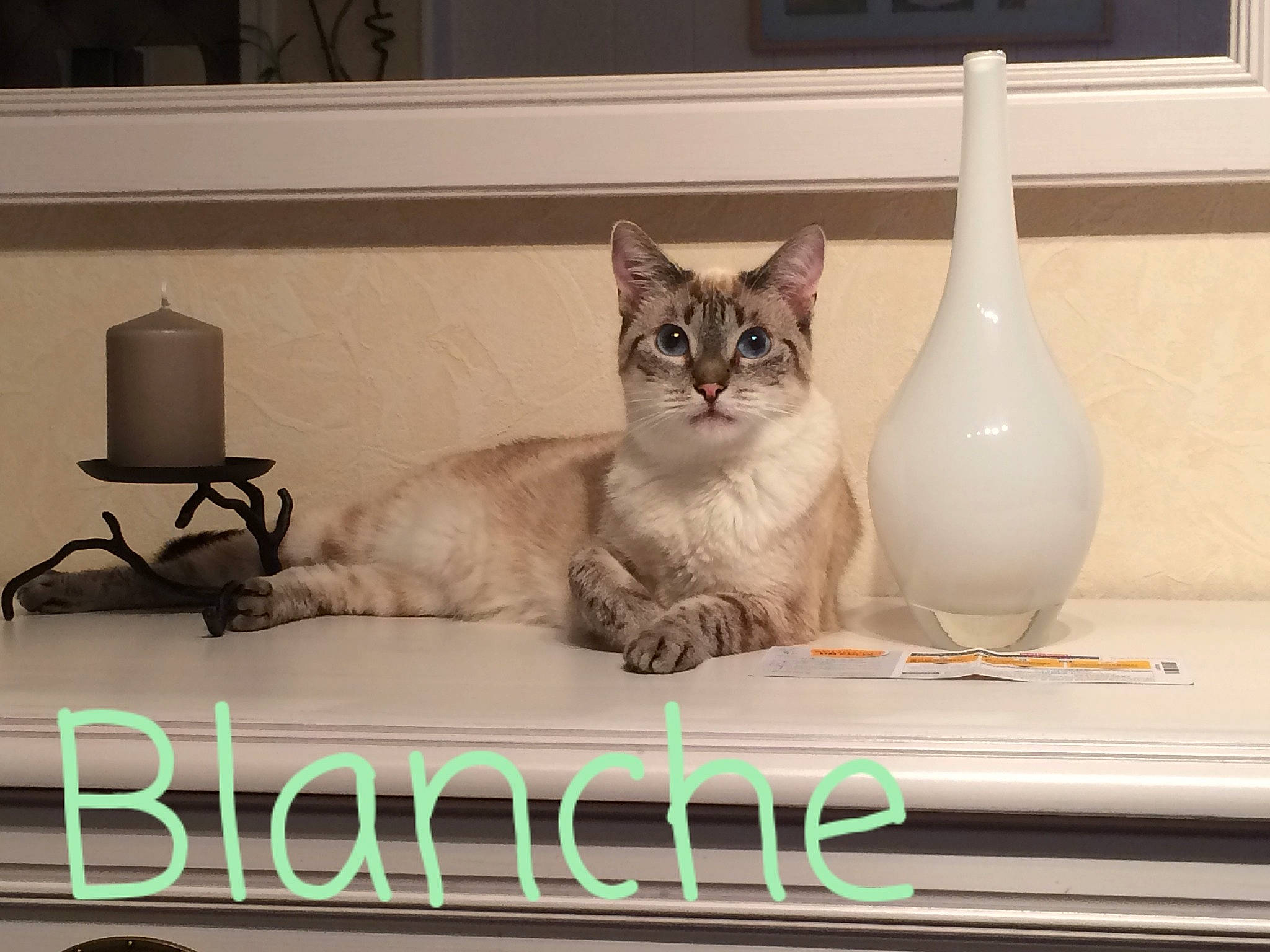 Blanche
