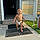 Carter