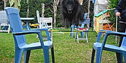 CANNELLE participe au concours pour gagner de l'argent avec cette photo :